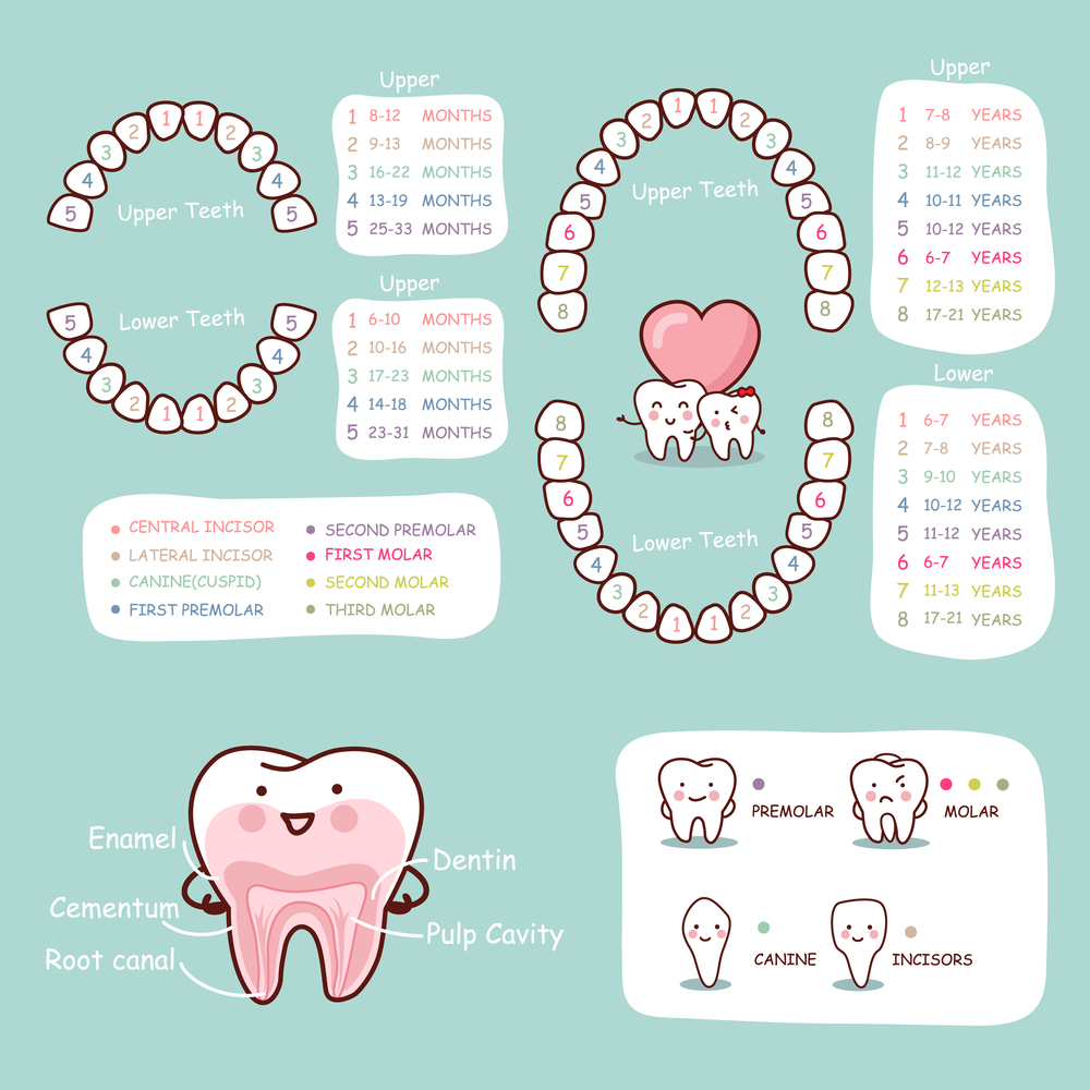 Why Fix Baby Teeth?